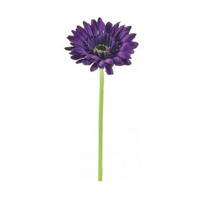 Homestreet Flowers Small Head Silk Gerbera Flower Stem Quality Artificial Flowers In Many Colours (Purple) Homestreet Flowers Small Head Silk Gerbera Flower Stem Quality Artificial Flowers In Many Colours (Purple)