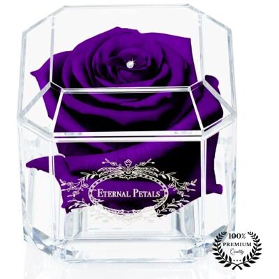 Eternal Petals A 100% Real Rose That Lasts Years , Handmade in UK, Flowers Delivery Next Day Prime UK, Purple Rose – White Gold Solo with A Clear Crystal (Purple) Eternal Petals A 100% Real Rose That Lasts Years , Handmade in UK, Flowers Delivery Next Day Prime UK, Purple Rose – White Gold Solo with A Clear Crystal (Purple)