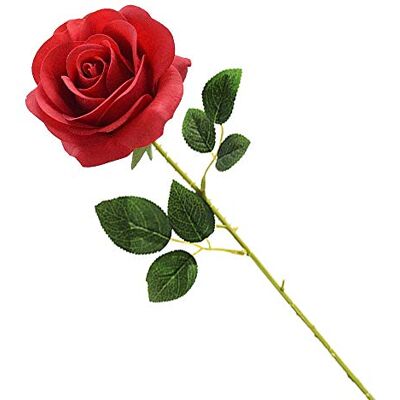 Cosswe Artificial Silk Rose Artificial Rose Eternal Flowers Single Stem Gift Wrapped Roses for Wedding Bouquets Anniversary Party Hotels Office Decoration (Red) Cosswe Artificial Silk Rose Artificial Rose Eternal Flowers Single Stem Gift Wrapped Roses for Wedding Bouquets Anniversary Party Hotels Office Decoration (Red)