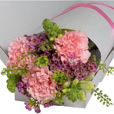 InterBloom Letterbox Fresh Flower Bouquet – Snapdragons & Carnations – Premium Florist Stems – Thoughtful Gift – Next Day UK Delivery InterBloom Letterbox Fresh Flower Bouquet – Snapdragons & Carnations – Premium Florist Stems – Thoughtful Gift – Next Day UK Delivery