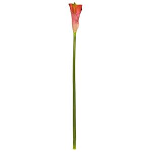 EUROCINSA Ref.57892C25 CALA LILY ROSA-FUCSIA, Box of 12pcs, 80cm EUROCINSA Ref.57892C25 CALA LILY ROSA-FUCSIA, Box of 12pcs, 80cm