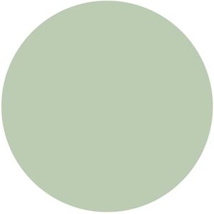 STAR CUTOUTS SC5000-c-s-004 Plain Small Cardboard Circle Sage Green Height 56 cm Width 56 cm Ideal DIY Craft Decoration for Birthday, Wedding, Anniversary etc STAR CUTOUTS SC5000-c-s-004 Plain Small Cardboard Circle Sage Green Height 56 cm Width 56 cm Ideal DIY Craft Decoration for Birthday, Wedding, Anniversary etc