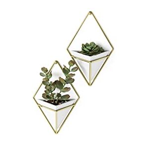 Umbra Trigg Hanging Planter Vase Wall Decor, Set of 2 Pots Containers for Succulents, Cactus, Faux Plants, and More, Small, White/Brass Umbra Trigg Hanging Planter Vase Wall Decor, Set of 2 Pots Containers for Succulents, Cactus, Faux Plants, and More, Small, White/Brass