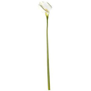 EUROCINSA Ref.63011C01 WHITE CALA, box of 6pcs, 80cm EUROCINSA Ref.63011C01 WHITE CALA, box of 6pcs, 80cm