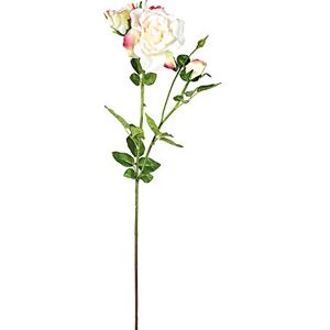 EUROCINSA Ref. 47407C02 Lady Ivory with Pink, Box of 6, 82 cm EUROCINSA Ref. 47407C02 Lady Ivory with Pink, Box of 6, 82 cm