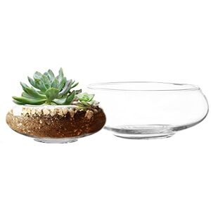 Royal Imports Flower Glass Vase, Bowl Terrarium Succulent Planter, Air Plant Hydroponic Display, Floating Candles Decorative Centerpiece Floral Container for Home or Wedding Set of 2, Clear Royal Imports Flower Glass Vase, Bowl Terrarium Succulent Planter, Air Plant Hydroponic Display, Floating Candles Decorative Centerpiece Floral Container for Home or Wedding Set of 2, Clear
