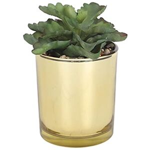 Sleepdown Halo Green Tall Artificial Faux Plant Succulent Gold Pot for Home Office Bathroom Decor Indoor Decoration Aesthetics, Small Sleepdown Halo Green Tall Artificial Faux Plant Succulent Gold Pot for Home Office Bathroom Decor Indoor Decoration Aesthetics, Small