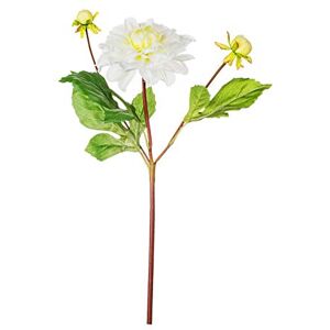 EUROCINSA Ref.78330C01 DALIA with 2 White Heads, Box of 12 Units, 38 cm EUROCINSA Ref.78330C01 DALIA with 2 White Heads, Box of 12 Units, 38 cm