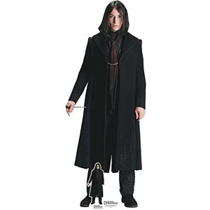 STAR CUTOUTS Cutouts Ltd SC4058 Credence Ezra Miller Lifesize Cardboard Cutout Perfect for Birthdays, Gifts, Parties & Fans Fantastic Beasts STAR CUTOUTS Cutouts Ltd SC4058 Credence Ezra Miller Lifesize Cardboard Cutout Perfect for Birthdays, Gifts, Parties & Fans Fantastic Beasts