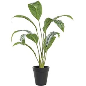 DKD Home Decor Decorative Plant, Standard DKD Home Decor Decorative Plant, Standard