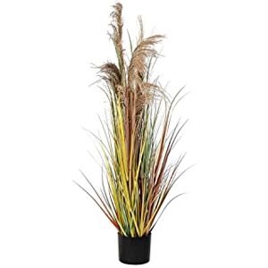 DKD Home Decor Decorative Plant, Standard DKD Home Decor Decorative Plant, Standard
