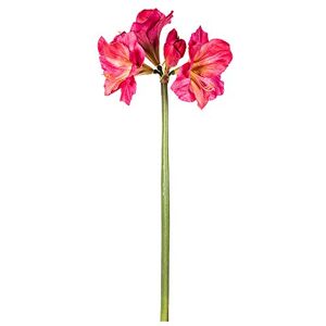 EUROCINSA Ref.60318C25 AMARILYS ROSA-FUCSIA, Box of 6, 96 cm EUROCINSA Ref.60318C25 AMARILYS ROSA-FUCSIA, Box of 6, 96 cm