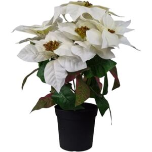 GreenBrokers Artificial White Poinsettia Christmas Flower Plant in Pot 46cm/18in GreenBrokers Artificial White Poinsettia Christmas Flower Plant in Pot 46cm/18in