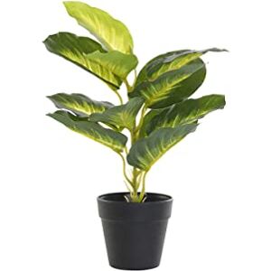 DKD Home Decor Decorative Plant Standard DKD Home Decor Decorative Plant Standard