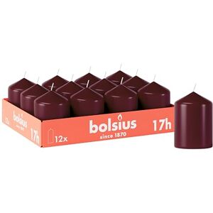 BOLSIUS Smooth Pillar Candles Burgundy Pack of 12-8 x 6 cm Decorative Household Candles Burn Time 17 Hours Unscented Contains Natural Plant Wax Without Palm Oil BOLSIUS Smooth Pillar Candles Burgundy Pack of 12-8 x 6 cm Decorative Household Candles Burn Time 17 Hours Unscented Contains Natural Plant Wax Without Palm Oil
