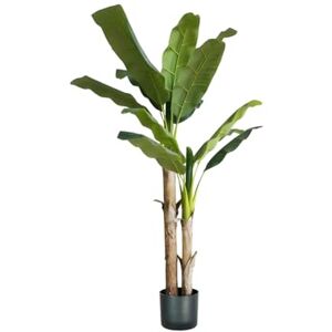 Avilia Artificial Banana 170 cm Polyethylene with 17 Leaves, Artificial Banana Plant, Perfect for Indoor Decoration Avilia Artificial Banana 170 cm Polyethylene with 17 Leaves, Artificial Banana Plant, Perfect for Indoor Decoration
