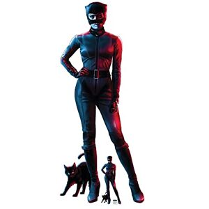 STAR CUTOUTS Official SC4216 Catwoman Red Blue Zoe Kravitz Greatest Superhero Life-Size Cardboard Cutout Party Supplies Gifts Collectors, Multicolor STAR CUTOUTS Official SC4216 Catwoman Red Blue Zoe Kravitz Greatest Superhero Life-Size Cardboard Cutout Party Supplies Gifts Collectors, Multicolor