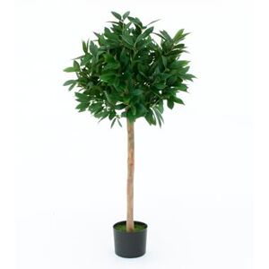 GreenBrokers Artificial Bay Trees, Topiary Faux Tree, Premium Quality Real Wood Trunk and Natural Appearance Leaves and Brown Berries, UV Protected, Indoor and Outdoor Use GreenBrokers Artificial Bay Trees, Topiary Faux Tree, Premium Quality Real Wood Trunk and Natural Appearance Leaves and Brown Berries, UV Protected, Indoor and Outdoor Use