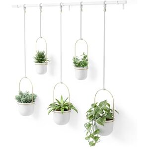 Umbra Hanging Planter for Succulents, Herbs and Other Small Plants, White, Brass, 5 Pots Umbra Hanging Planter for Succulents, Herbs and Other Small Plants, White, Brass, 5 Pots