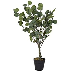 DKD Home Decor Decorative Plant, Standard DKD Home Decor Decorative Plant, Standard