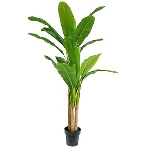 Genuine Leaf Design UK 180cm Artificial Banana Tree - Artificial Plant Genuine Leaf Design UK 180cm Artificial Banana Tree - Artificial Plant