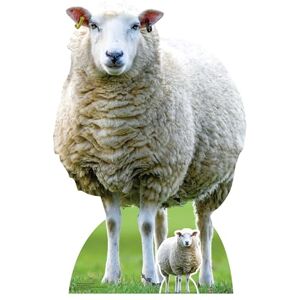 STAR CUTOUTS SC4437 Sheep Farm Animal Cardboard Cut Out Height 94cm Ideal for Animal Theme, Parties, Birthdays & Fans, Room Decorations & Events STAR CUTOUTS SC4437 Sheep Farm Animal Cardboard Cut Out Height 94cm Ideal for Animal Theme, Parties, Birthdays & Fans, Room Decorations & Events