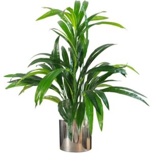 Leaf 65cm Artificial Realistic Bamboo Shrub Plant with Silver Metal Planter Leaf 65cm Artificial Realistic Bamboo Shrub Plant with Silver Metal Planter