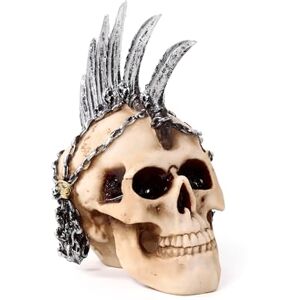Puckator Punk Skull with Chains & Blades Mohican Cute Room Decor Aesthetic Feng Shui Meditation Accessories Garden Ornaments Shelf Desk Decorations Mindfulness Home Gifts Statues Puckator Punk Skull with Chains & Blades Mohican Cute Room Decor Aesthetic Feng Shui Meditation Accessories Garden Ornaments Shelf Desk Decorations Mindfulness Home Gifts Statues