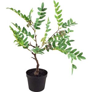 Leaf Artificial Fern Plant with Pot, Evergreen Berries, 50cm Leaf Artificial Fern Plant with Pot, Evergreen Berries, 50cm