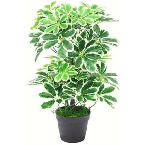 Leaf Artificial Arboricola Evergreen Plant, Dark Green, 55cm Leaf Artificial Arboricola Evergreen Plant, Dark Green, 55cm