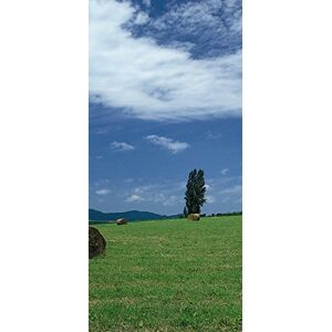 PeelitStickit , Beautiful Nature Wall Murals, ID-0895, vinyl PeelitStickit , Beautiful Nature Wall Murals, ID-0895, vinyl