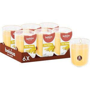 BOLSIUS Mimosa Yellow Set of 6 Scented Candles 8 x 7 cm Burn time: 25 Hours with Natural extracts Natural Vegetable Wax Palm Oil Free BOLSIUS Mimosa Yellow Set of 6 Scented Candles 8 x 7 cm Burn time: 25 Hours with Natural extracts Natural Vegetable Wax Palm Oil Free