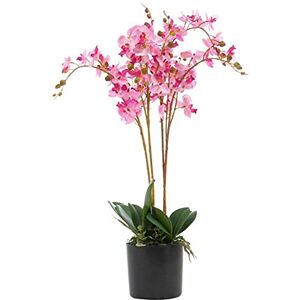 Leaf Design UK Realistic Artificial Orchid Flower Display in Pot, 60cm Pink Leaf Design UK Realistic Artificial Orchid Flower Display in Pot, 60cm Pink