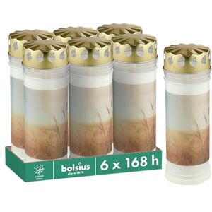 BOLSIUS Grave Light – White – Pack of 6 – 7.5 x 20 cm – Length Burning Time 168 Hours – Funeral Candle & Memorial Candles – with Motif – Fields – Unscented – No Palm Oil – No. 7 BOLSIUS Grave Light – White – Pack of 6 – 7.5 x 20 cm – Length Burning Time 168 Hours – Funeral Candle & Memorial Candles – with Motif – Fields – Unscented – No Palm Oil – No. 7