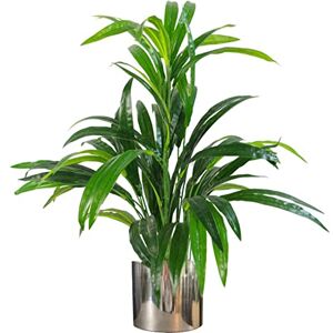 Leaf Design UK Realistic Artificial Foliage Plant with Pot, Metal, Bamboo Silver Planter, 65cm Leaf Design UK Realistic Artificial Foliage Plant with Pot, Metal, Bamboo Silver Planter, 65cm
