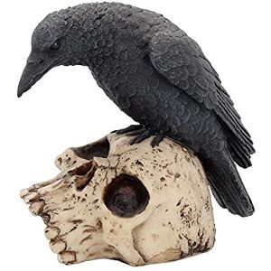 Nemesis Now Ravens Remains Figurine 13cm, Crow Skull Gothic Ornament, Black Nemesis Now Ravens Remains Figurine 13cm, Crow Skull Gothic Ornament, Black