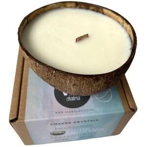 VIE Naturals Handmade Candle in a Natural Coconut Shell, Vanilla VIE Naturals Handmade Candle in a Natural Coconut Shell, Vanilla