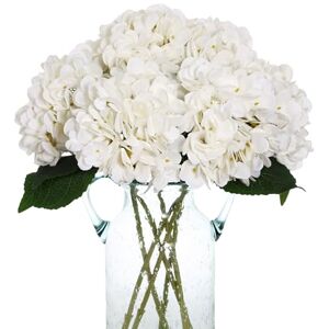 Kimura's Cabin 6pcs Fake White Flowers Artificial Silk Hydrangea Flowers Bouquets Faux Hydrangea Stems for Home Table Centerpieces Wedding Party Decoration (White) Kimura's Cabin 6pcs Fake White Flowers Artificial Silk Hydrangea Flowers Bouquets Faux Hydrangea Stems for Home Table Centerpieces Wedding Party Decoration (White)