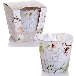 Dekohelden24 Scented Candle Lantern Candle in Glass Set of 2 Cotton Fragrance, L x W x H 8 x 8 cm, 115 g per Candle, White Dekohelden24 Scented Candle Lantern Candle in Glass Set of 2 Cotton Fragrance, L x W x H 8 x 8 cm, 115 g per Candle, White