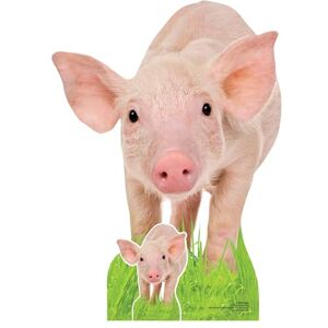 STAR CUTOUTS SC4569 Piglet Cardboard Cut Out Height 85cm Ideal for Animal Lovers, Birthdays & Room Decorations STAR CUTOUTS SC4569 Piglet Cardboard Cut Out Height 85cm Ideal for Animal Lovers, Birthdays & Room Decorations