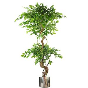Leaf Realistic Artificial Japanese Fruticosa Ficus Tree, Twisted Large Silver, 150cm (5ft) Leaf Realistic Artificial Japanese Fruticosa Ficus Tree, Twisted Large Silver, 150cm (5ft)