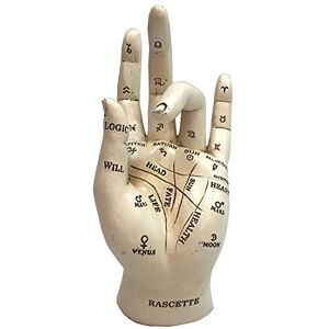 Nemesis Now Palmistry Chriomancy Fortune Telling Hand Figurine, Polyresin, White,17.7cm Nemesis Now Palmistry Chriomancy Fortune Telling Hand Figurine, Polyresin, White,17.7cm