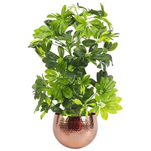Botanik Artificial Office Plants Botanik Artificial Office Plants
