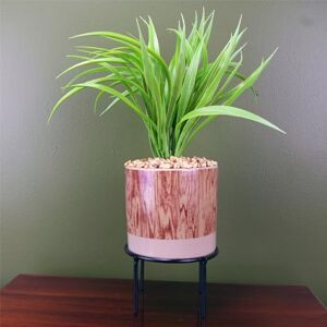 Botanik Premium Artificial Fern Grass Botanik Premium Artificial Fern Grass