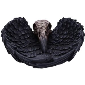 Nemesis Now Edgar Allen Poe's Nevermore Raven Skull Trinket Holder Jewellery Dish, Black, 17 cm Nemesis Now Edgar Allen Poe's Nevermore Raven Skull Trinket Holder Jewellery Dish, Black, 17 cm