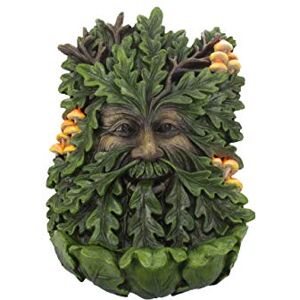 Nemesis Now D4267M8 Elderwood Wall Plaque 19cm Green, Polyresin, 23.8cm Nemesis Now D4267M8 Elderwood Wall Plaque 19cm Green, Polyresin, 23.8cm