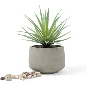 Kurrajong Farmhouse Gorgeous Life Like Soft Pale Green Artificial Succulent in Rustic Pot, Set in Black Pebbles, 7"x 4.5" Potted Plant for Mantle or Desk Decor Kurrajong Farmhouse Gorgeous Life Like Soft Pale Green Artificial Succulent in Rustic Pot, Set in Black Pebbles, 7"x 4.5" Potted Plant for Mantle or Desk Decor