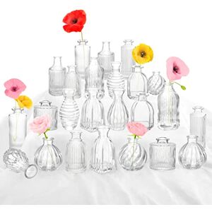 PHUNTTEK Bud Vases in Bulk 24, Small Glass Vase for Centerpieces, Vintage Vases for Decor, Mini Clear Single Flower Vase Bulk for Wedding Decor Rustic Decorative Christmas Vases Set Home Table Decorations PHUNTTEK Bud Vases in Bulk 24, Small Glass Vase for Centerpieces, Vintage Vases for Decor, Mini Clear Single Flower Vase Bulk for Wedding Decor Rustic Decorative Christmas Vases Set Home Table Decorations