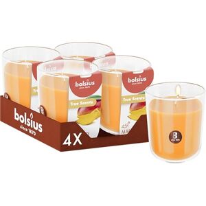 BOLSIUS Mango Orange Set of 4 Scented Candles 3.8″ × 3.3″ Burn time: 45 Hours with Natural extracts Natural Vegetable Wax Palm Oil Free BOLSIUS Mango Orange Set of 4 Scented Candles 3.8″ × 3.3″ Burn time: 45 Hours with Natural extracts Natural Vegetable Wax Palm Oil Free