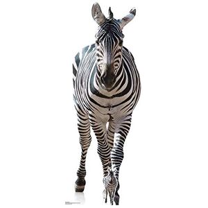 Iconicgreats - Zebra Lifesize Cardboard Cutout Iconicgreats - Zebra Lifesize Cardboard Cutout